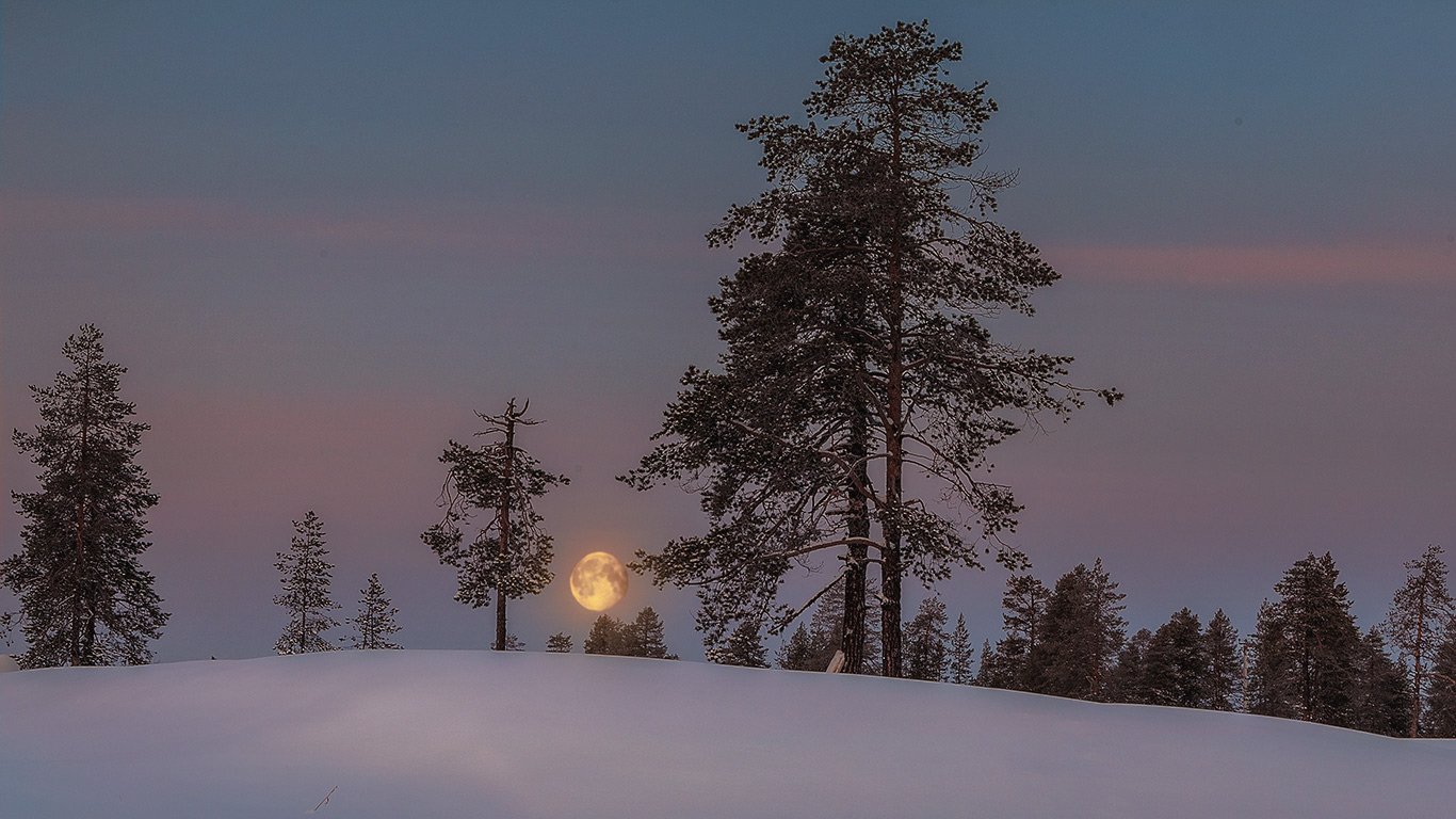север,ночь,природа,луна,зима,краски,печора,коми, Игорь Триер