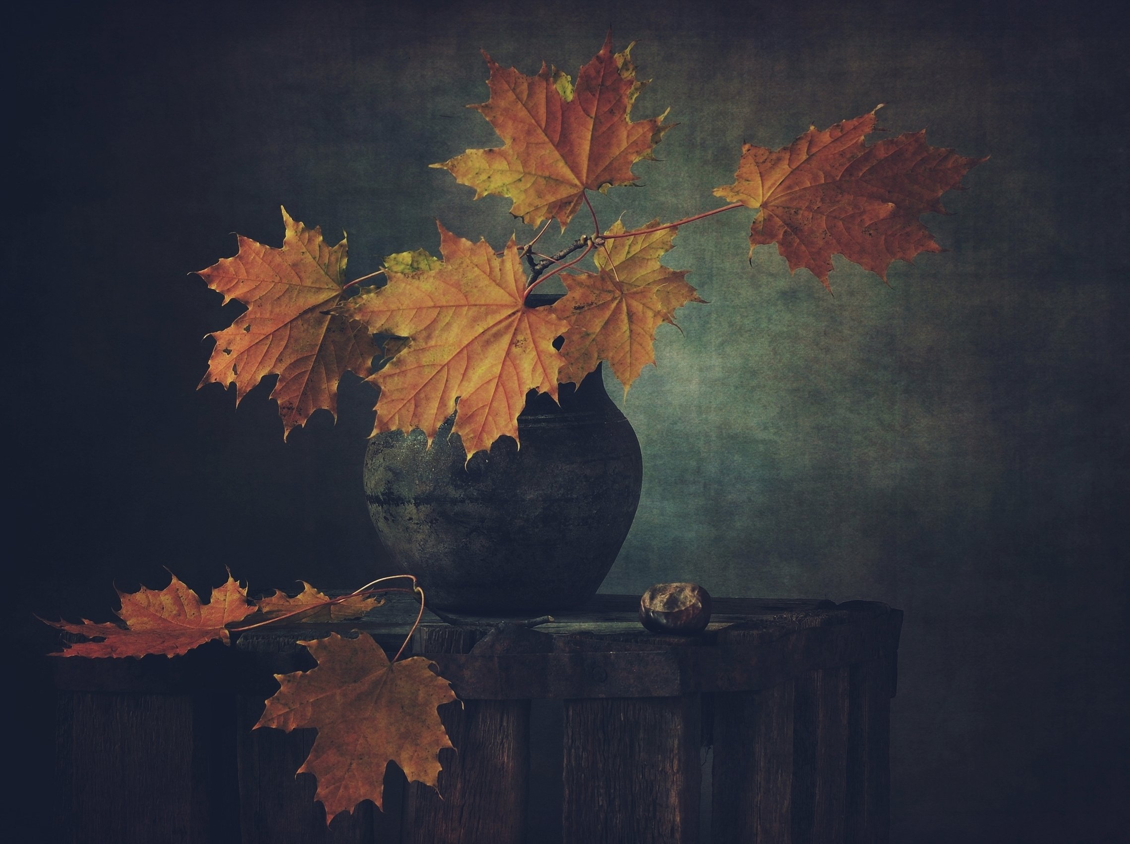 натюрморт,осень,листья,клен, Наталия