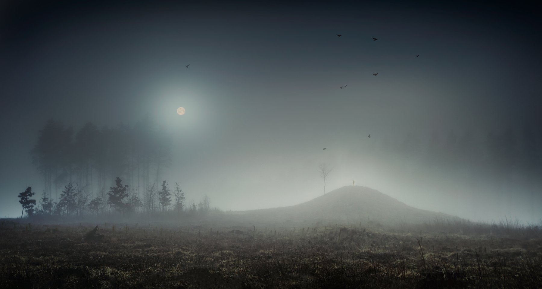 landscape , poland, surreal, man ,silhouette, forest ,moon, Milosz_Guzowski