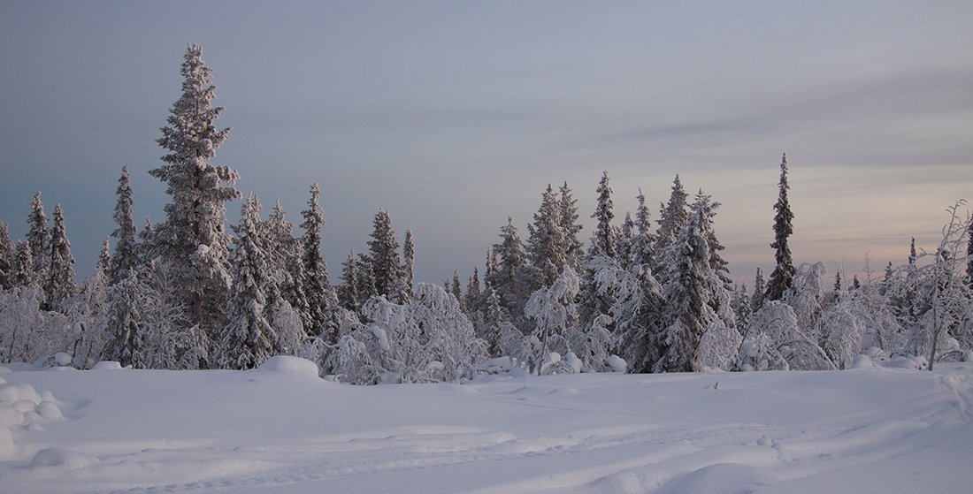 швеция, Lapland
