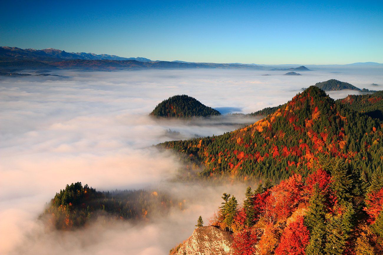 autumn, mountains, morning, sunrise, fog, color, trees, pieniny, tatry,, Jacek Lisiewicz