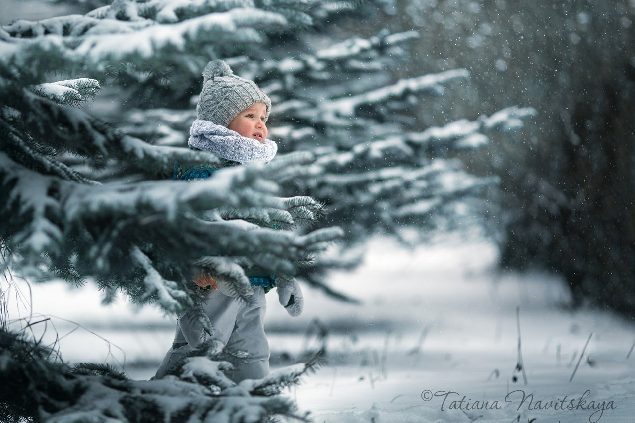  зима, мороз, снег, холодно, лес, деревья, ребенок, мальчик, ветки, Новицкая Татьяна