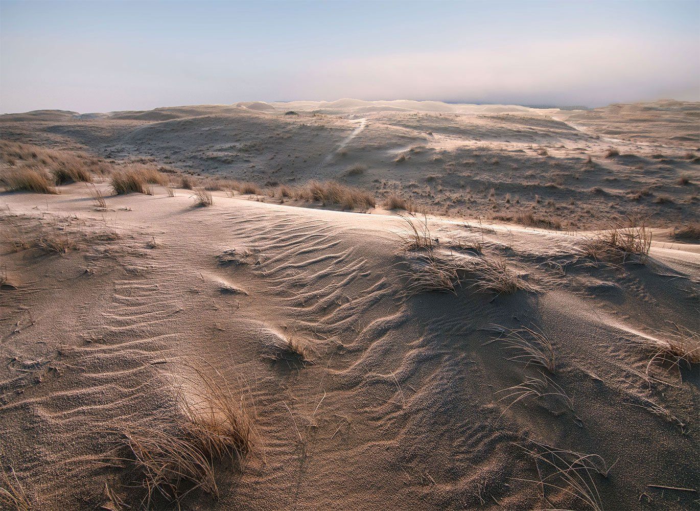 white dunes,neringa,nida, Daiva Cirtautė