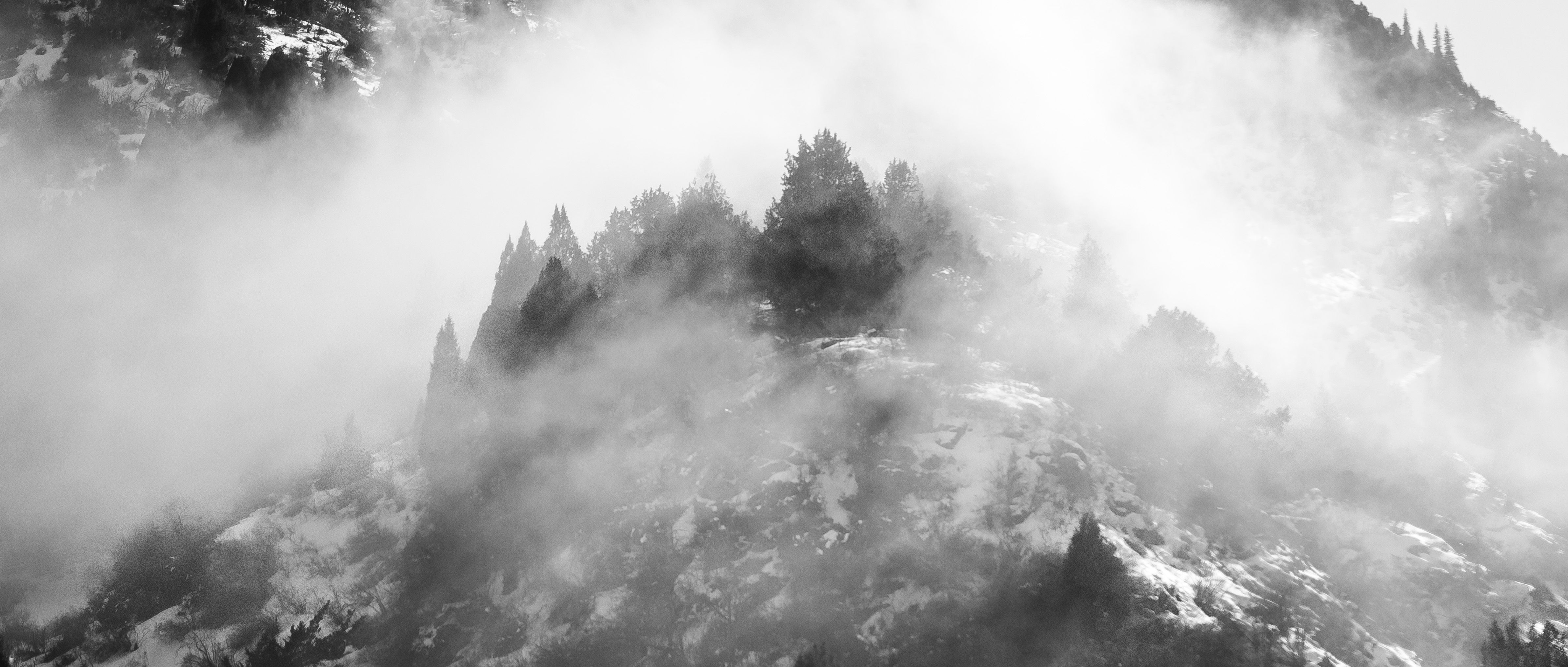 горы, облака, деревья, туман, природа, пейзаж, скалы, Василий Шумкин