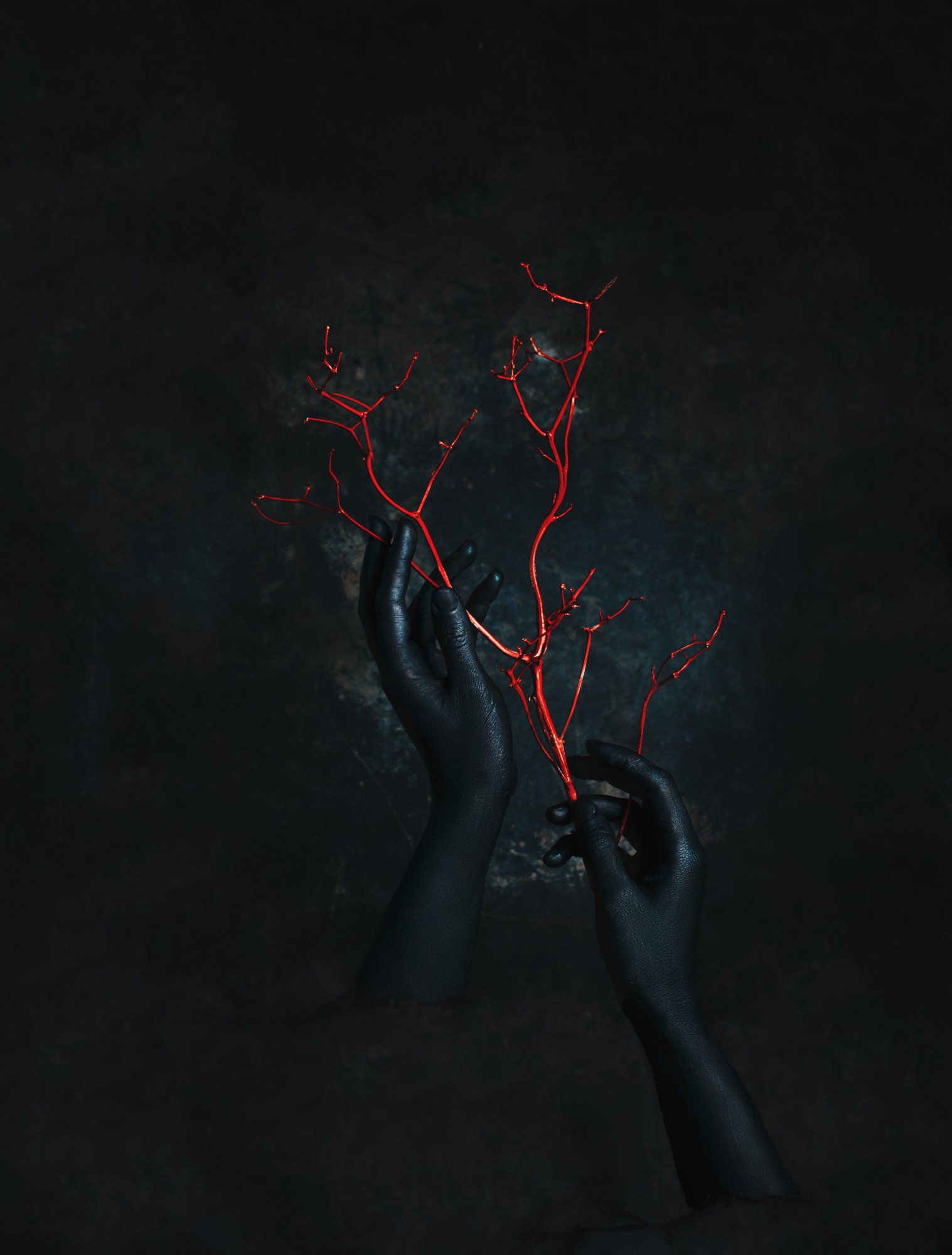 Руки, ветви, красный, черный, креативный, концепт, , Наталья Голубева