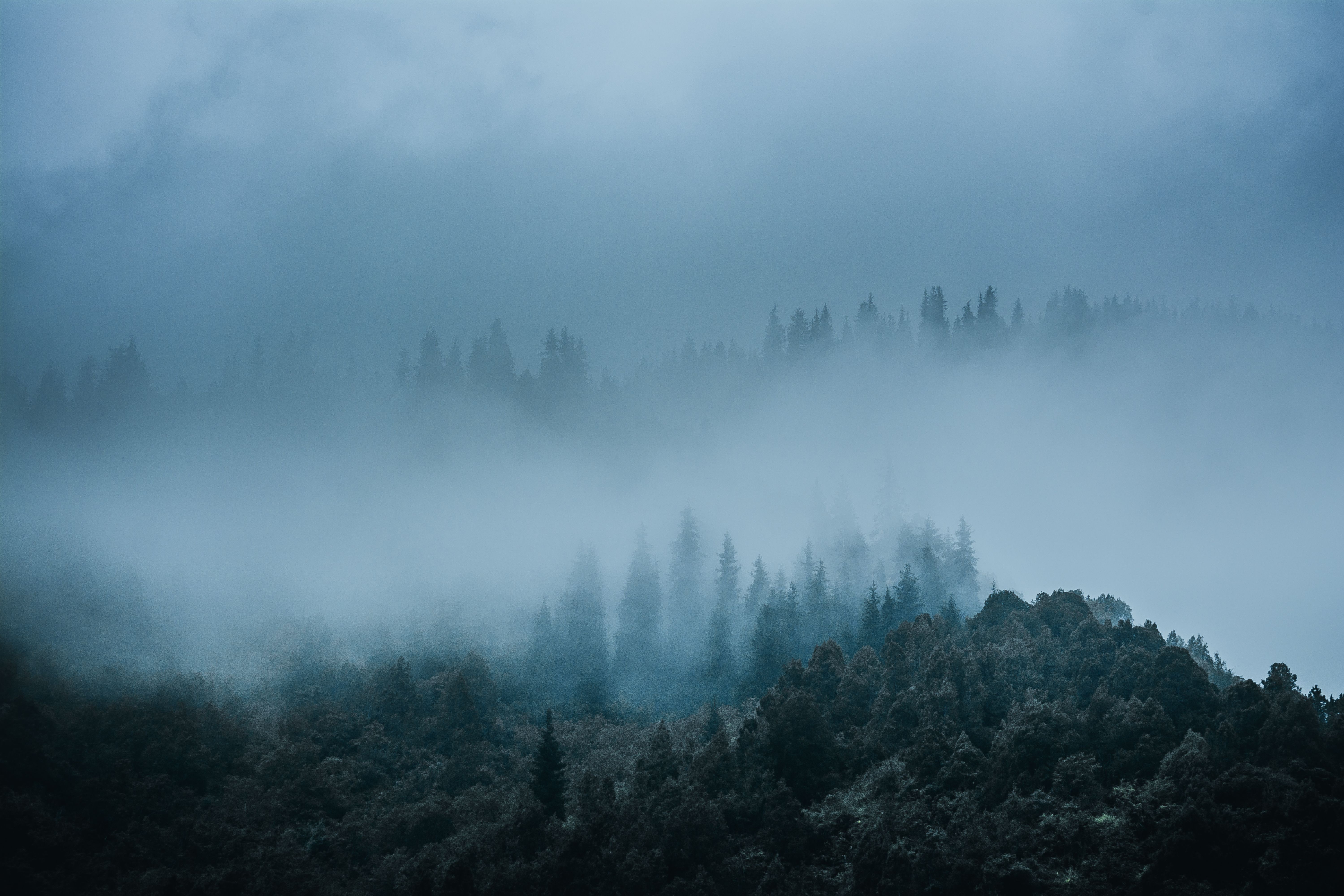 пейзаж, природа, горы, туман, облака, деревья, Василий Шумкин