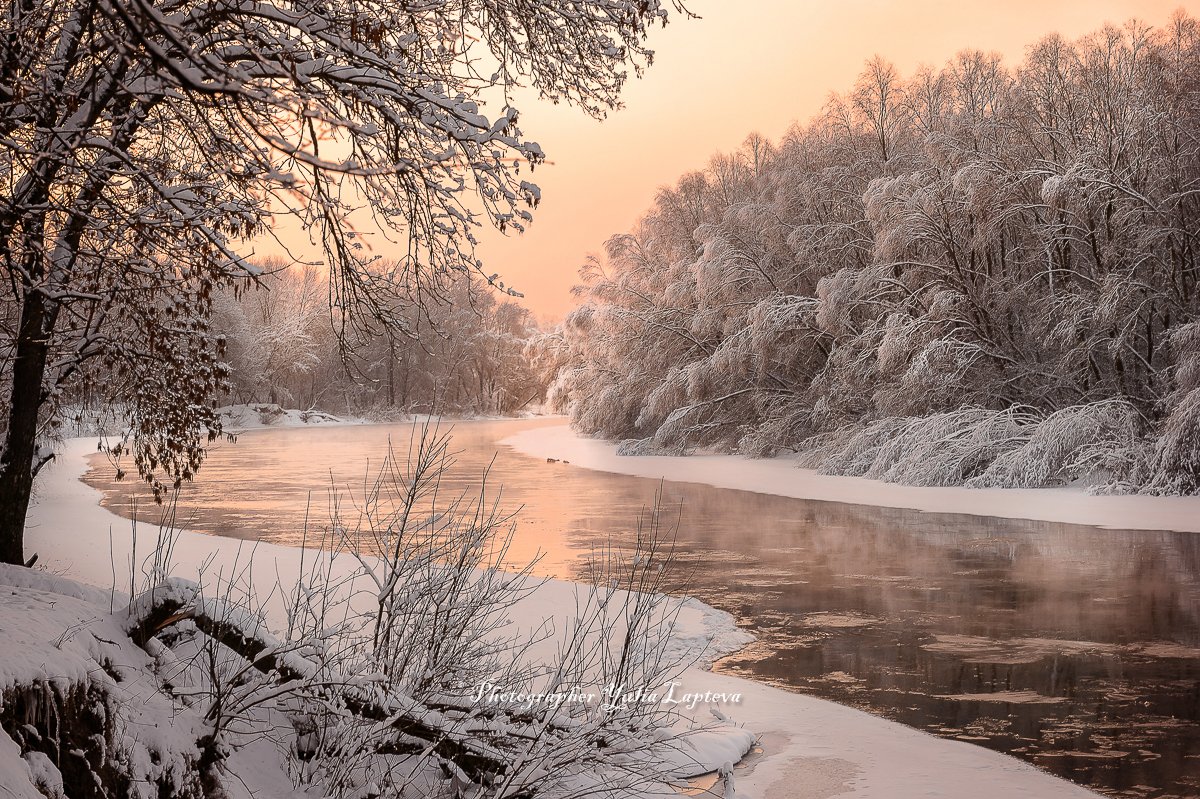 брянск,пейзаж,природа,утро,рассвет,зима,февраль,россия,река десна, Юлия Лаптева
