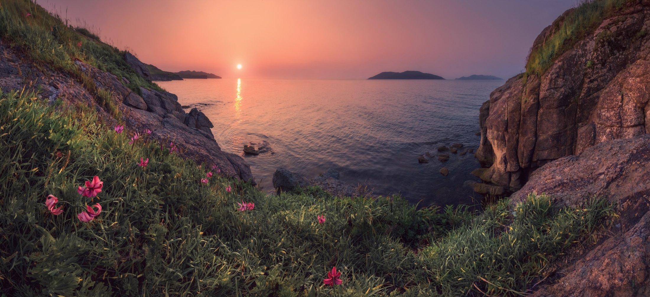 панорама, утро, море, восход, скалы, цветы, Андрей Кровлин