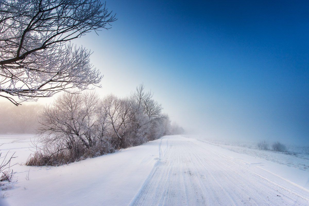 беларусь, дорога, зима, январь, туман, река, Вейзе Максим
