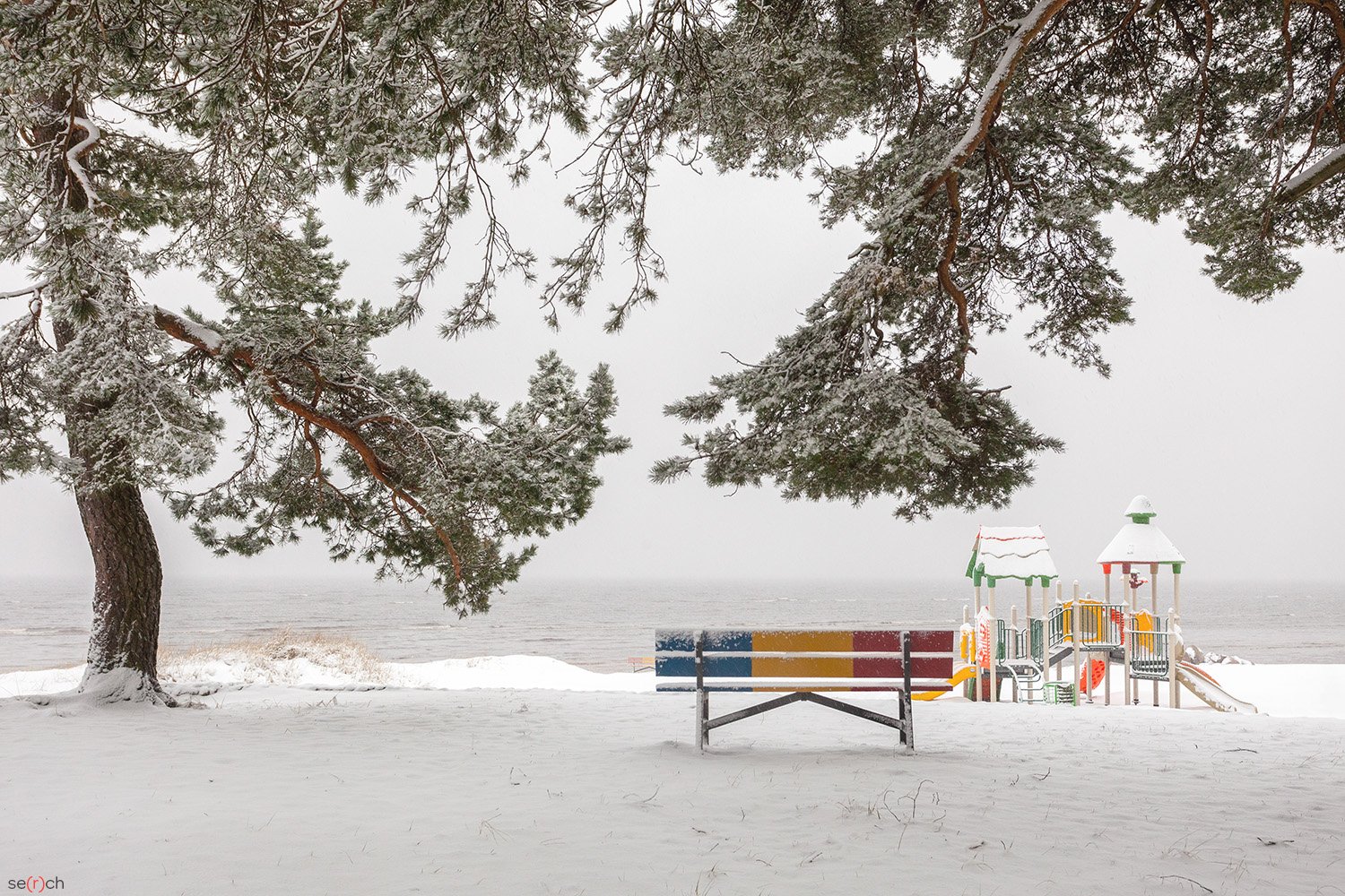 зима, снег, залив, дерево. скамейка, тишина, красота, Серш Сергей