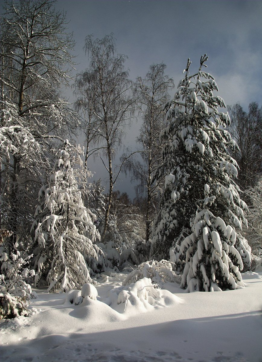 сергей алексеев, пейзаж, Сергей Алексеев