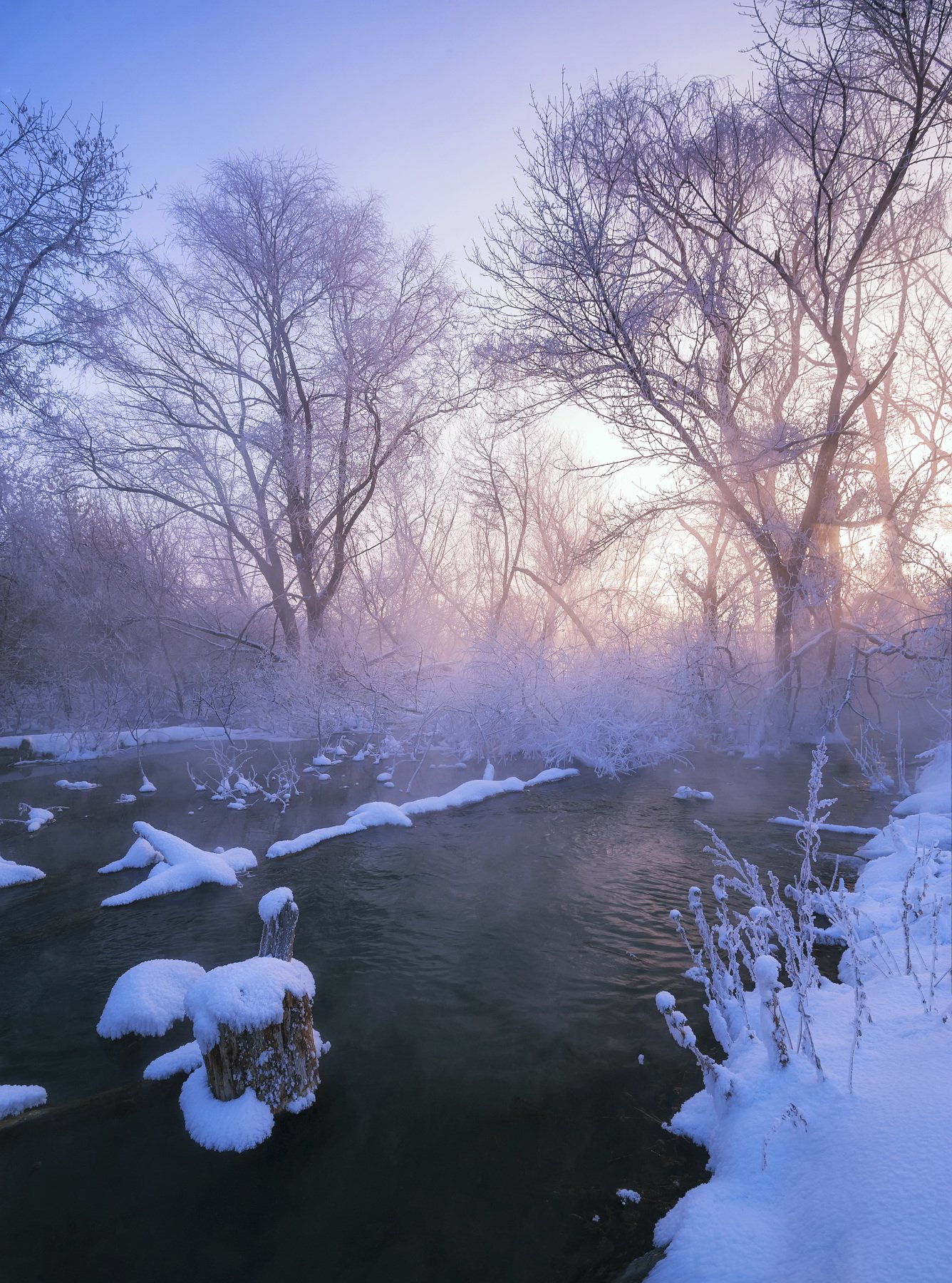 зима, утро, снег, иней, деревья, свет, туман, пар, вода, холод, Илья Логачёв