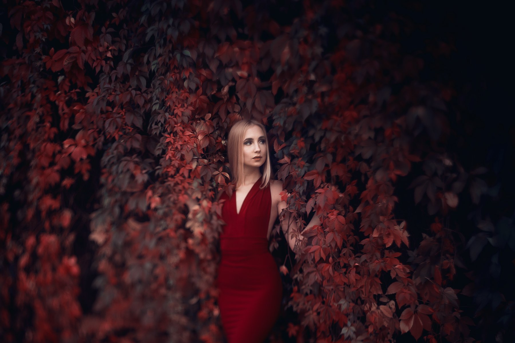 portrait, freelensing, autumn, model beauty nature, Izabela Nowakowska