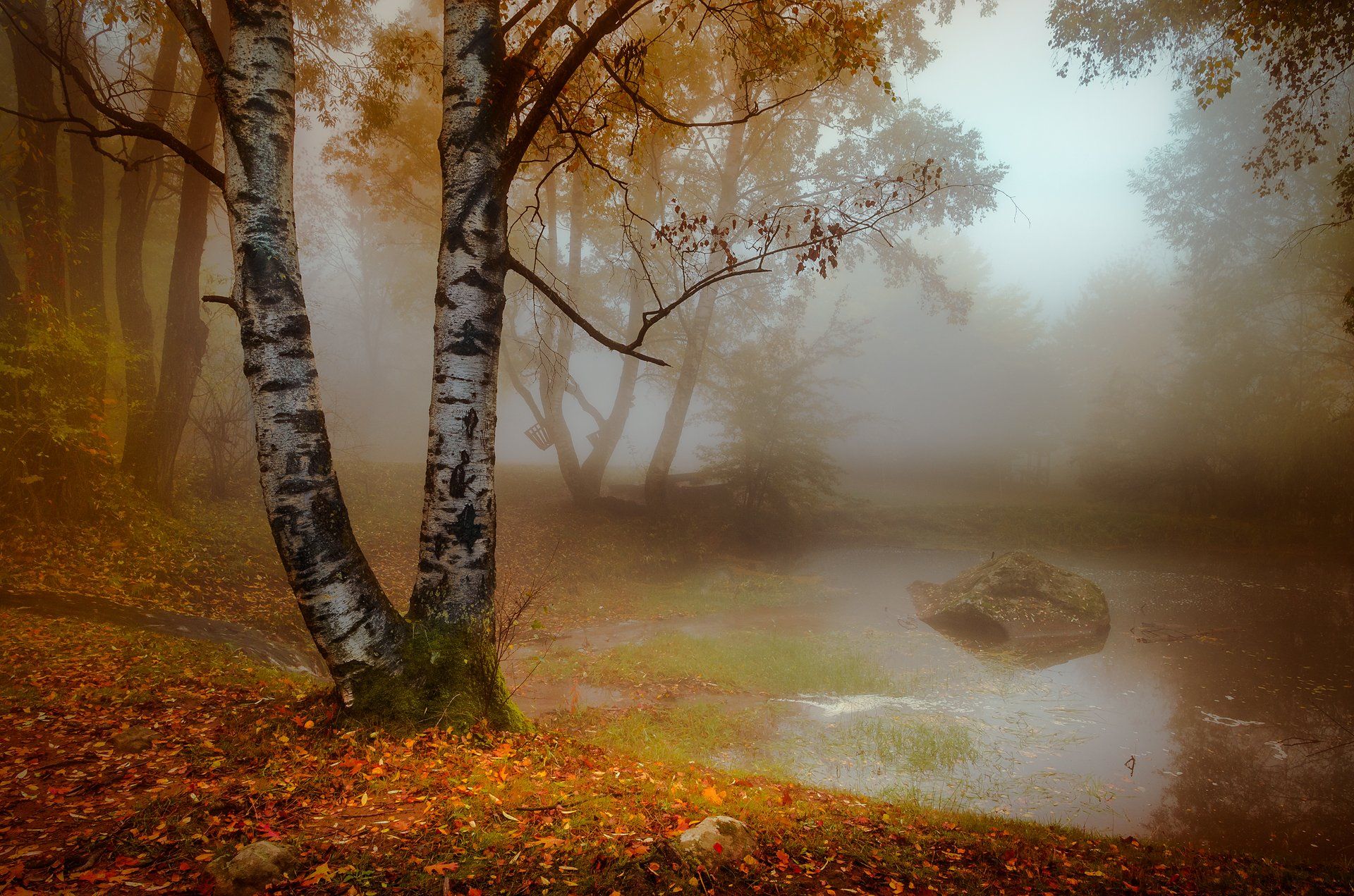 landscape, nature, autumn, foggy, scenery, forest, wood, mountain, vitosha, bulgaria, утро, осень, Александър Александров