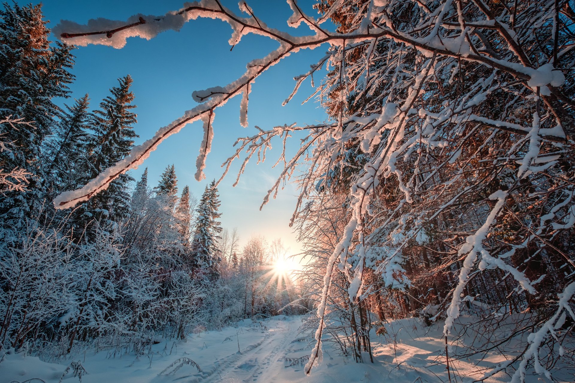 пейзаж, зима, лес, урал, снег, солнце, деревья, ветки, свет, Андрей Чиж