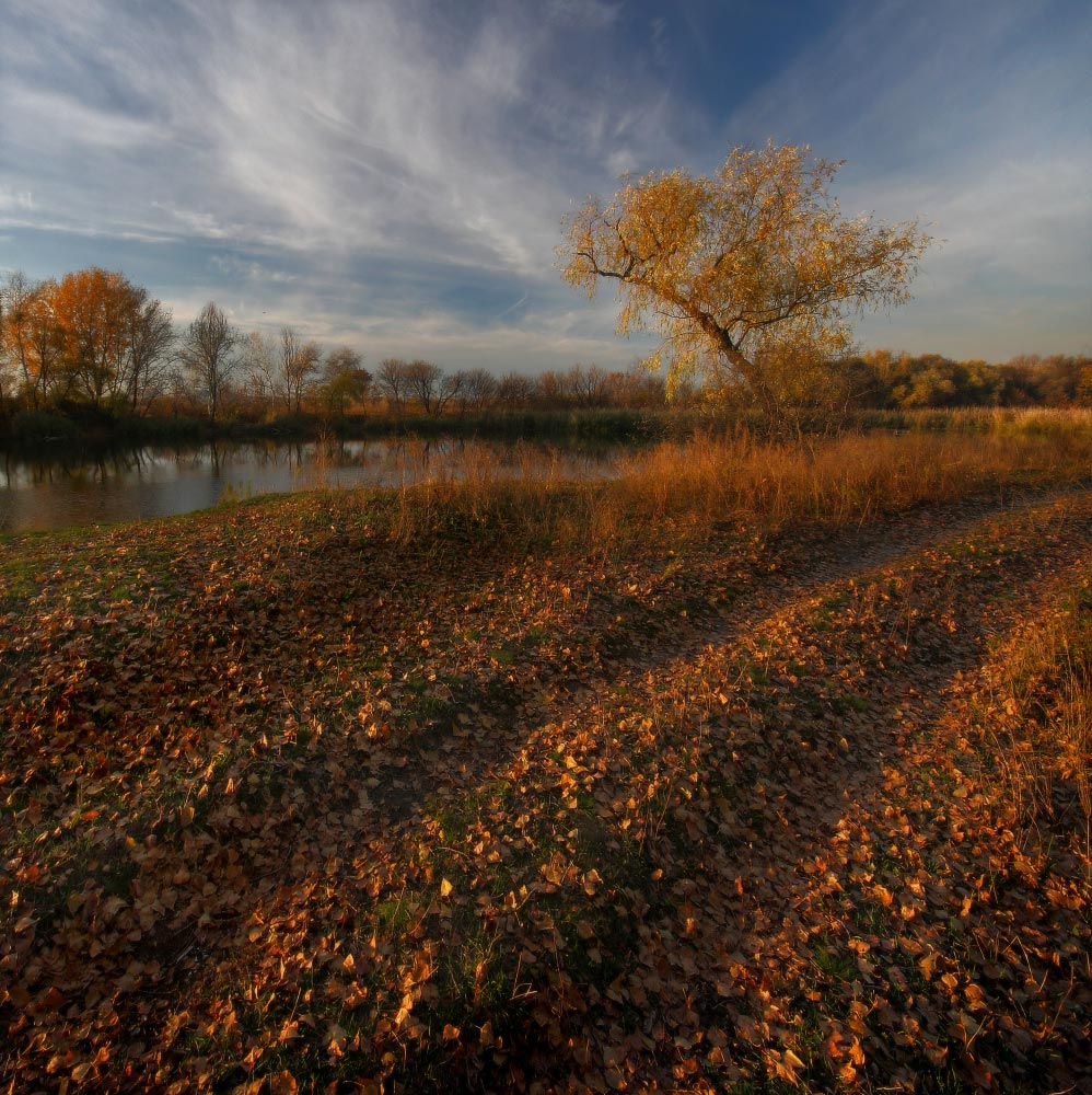 дорога, листья, октябрь, осень, река, Петриченко Валерий