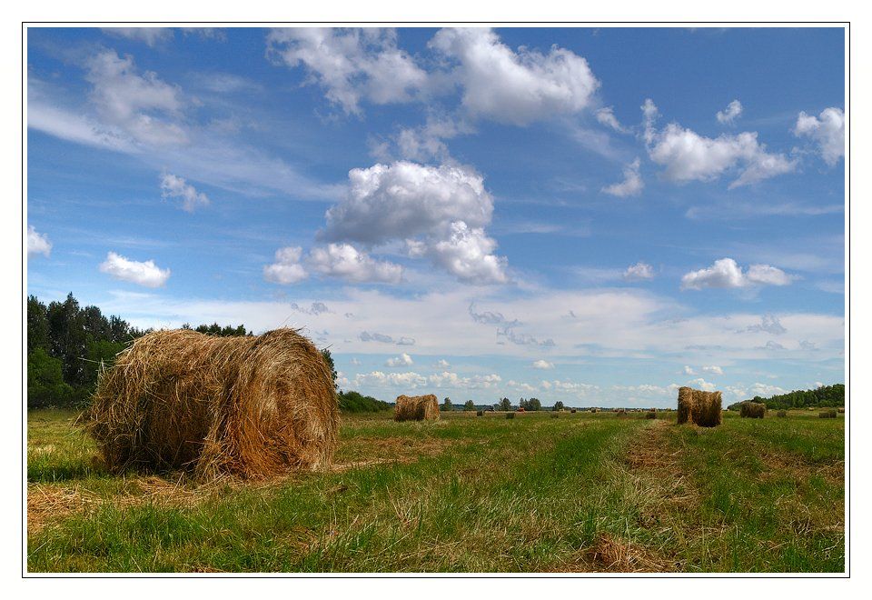 лето, поле, трава, стога, лес, небо, пейзаж, Oleg Dmitriev