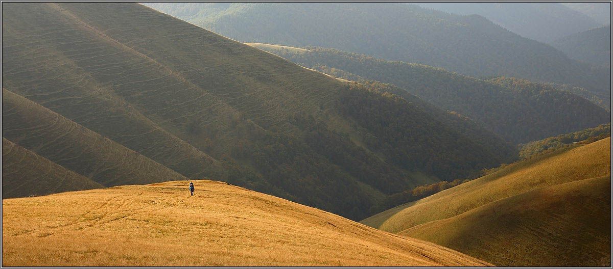 карпаты, Тарас