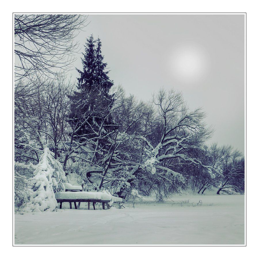зима, пейзаж, снег, деревья, мостки, Oleg Dmitriev