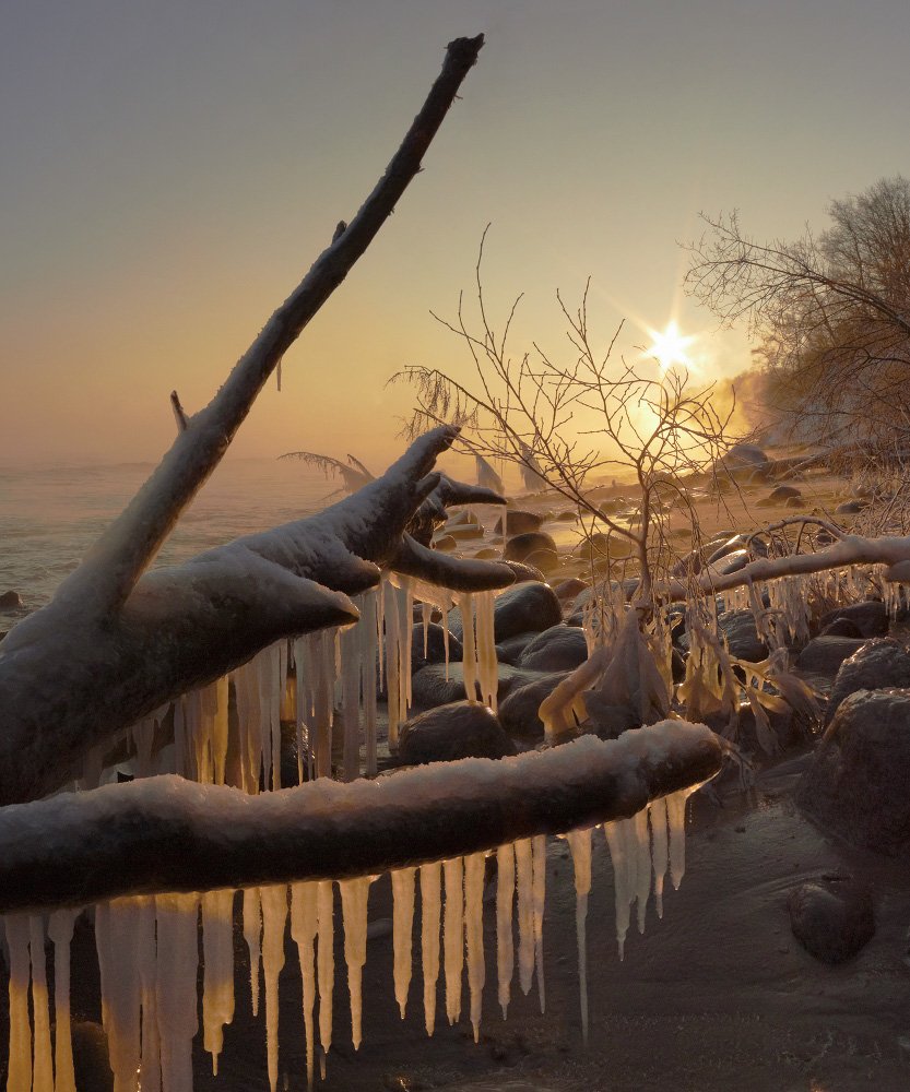 утро, солнце, лёд, коряги, заостровье, балтийское море, White