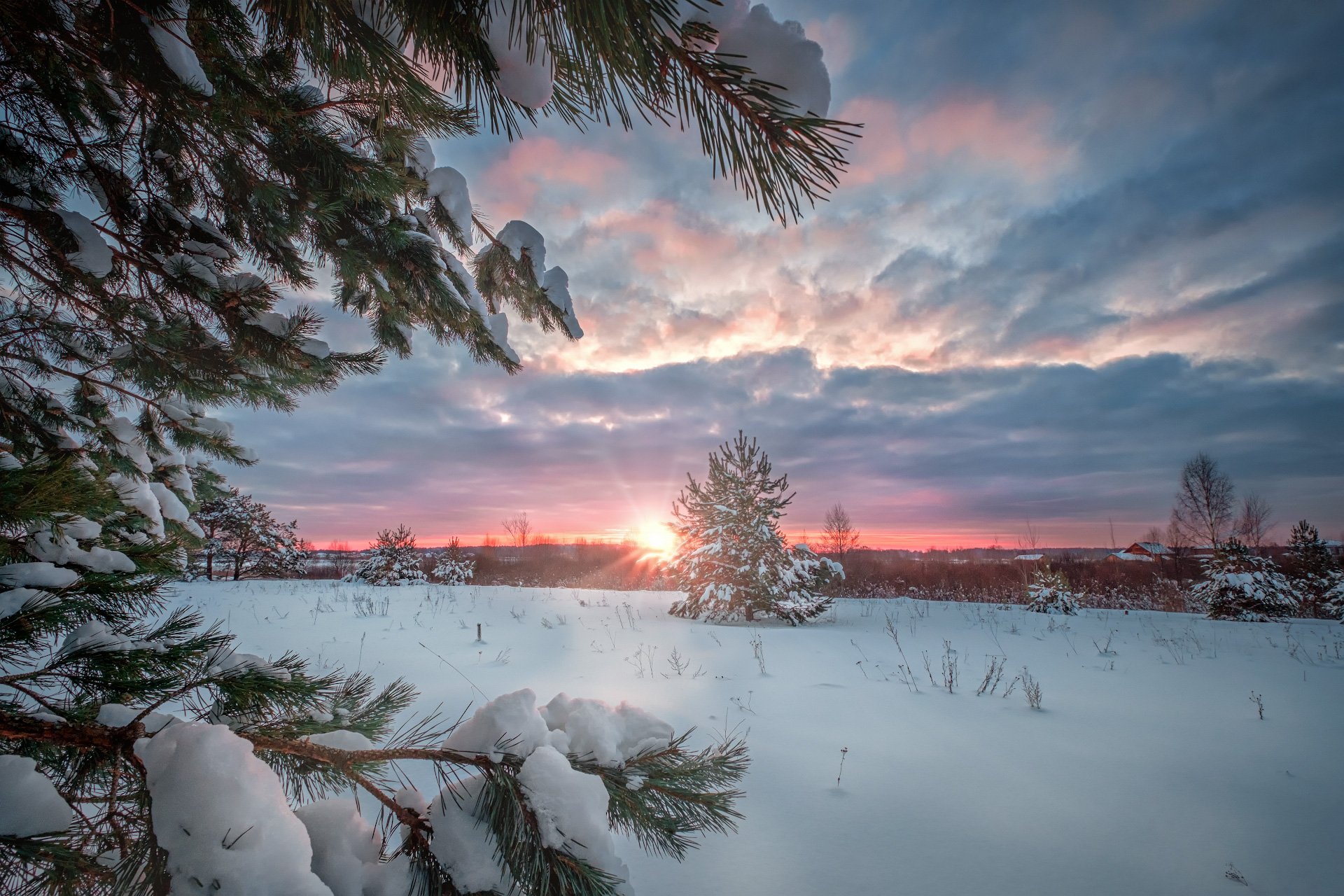 пейзаж, зима, лес, снег, солнце, деревья, ветки, свет, волга, дубна, утро, холод, мороз, Андрей Чиж