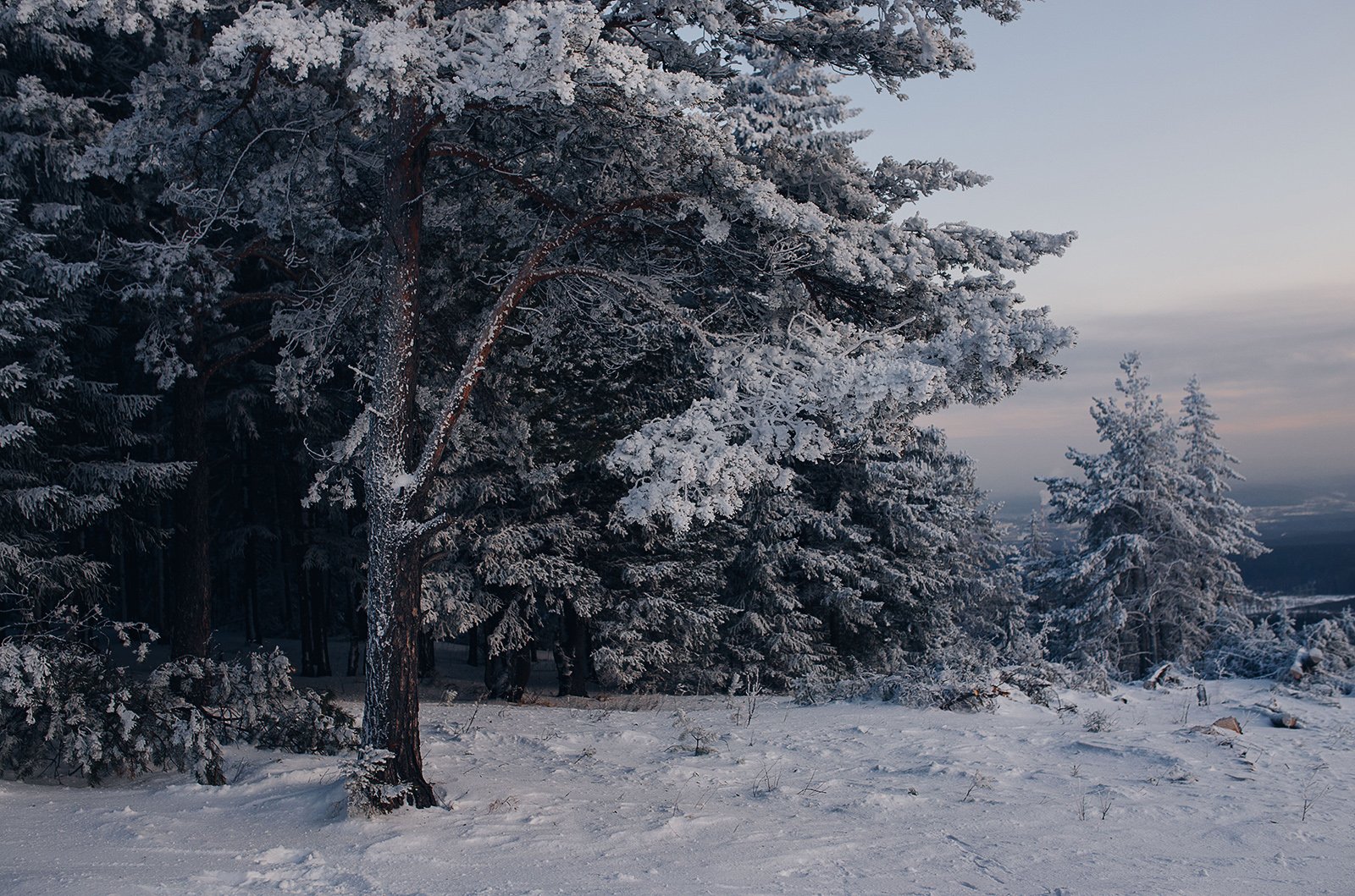 природа, лес, зимний пейзаж, урал, зима, Евгений Толкачёв