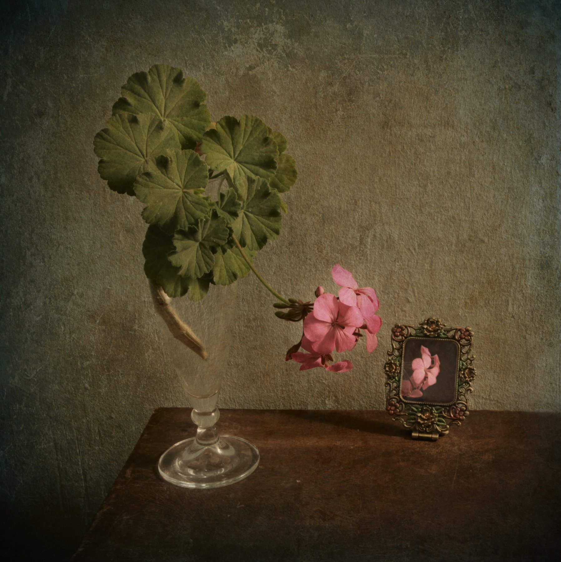 geranium, flower, vase, glass, green, pink, mirror, Andrei Blank