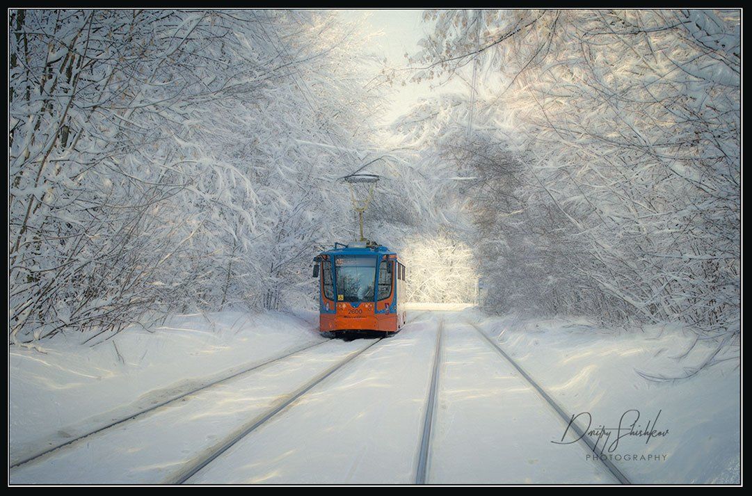 москва, сокольники, трамвай, снегопад, снег, лес, парк, Дмитрий Шишков