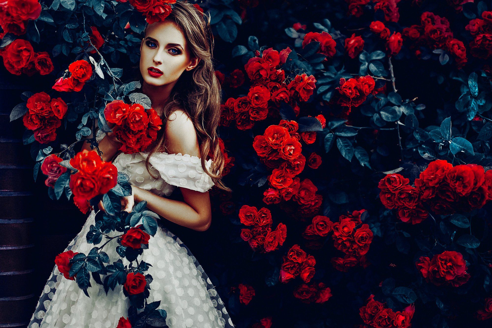 woman, portrait, colors, roses, natural light, beauty, Руслан Болгов (Axe)