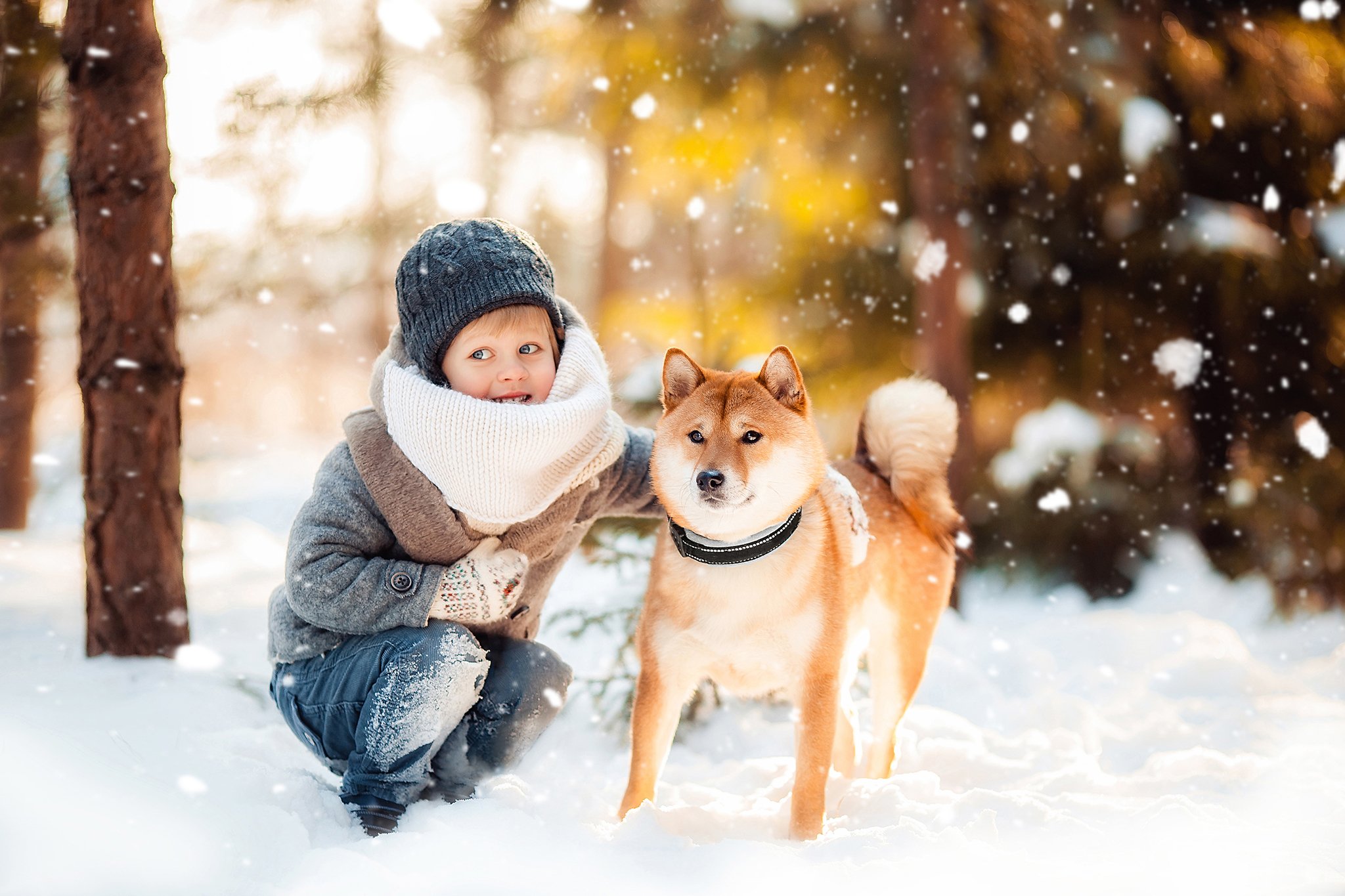 #boy #winter #snow #forest #dog #мальчик #шиба #зима #детскаяфотография, Наталья Карась