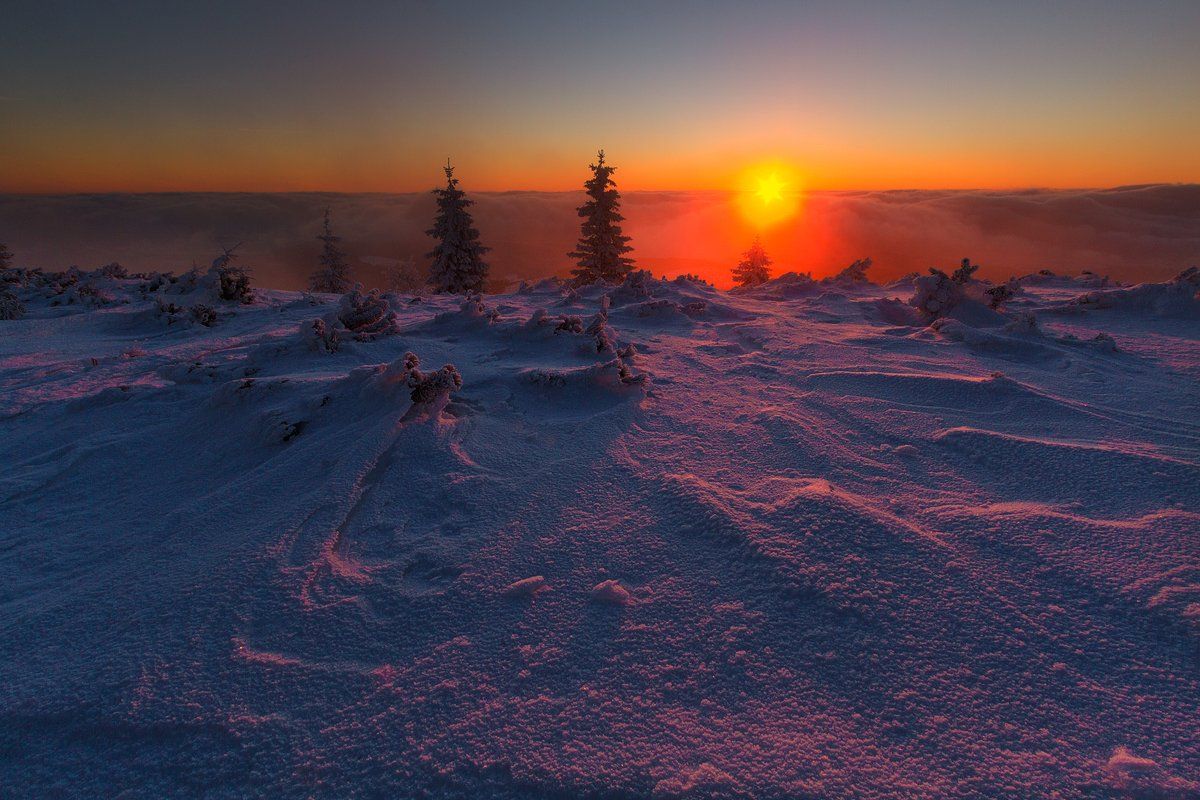 landscape,canon,winter, Iza i Darek Mitręga
