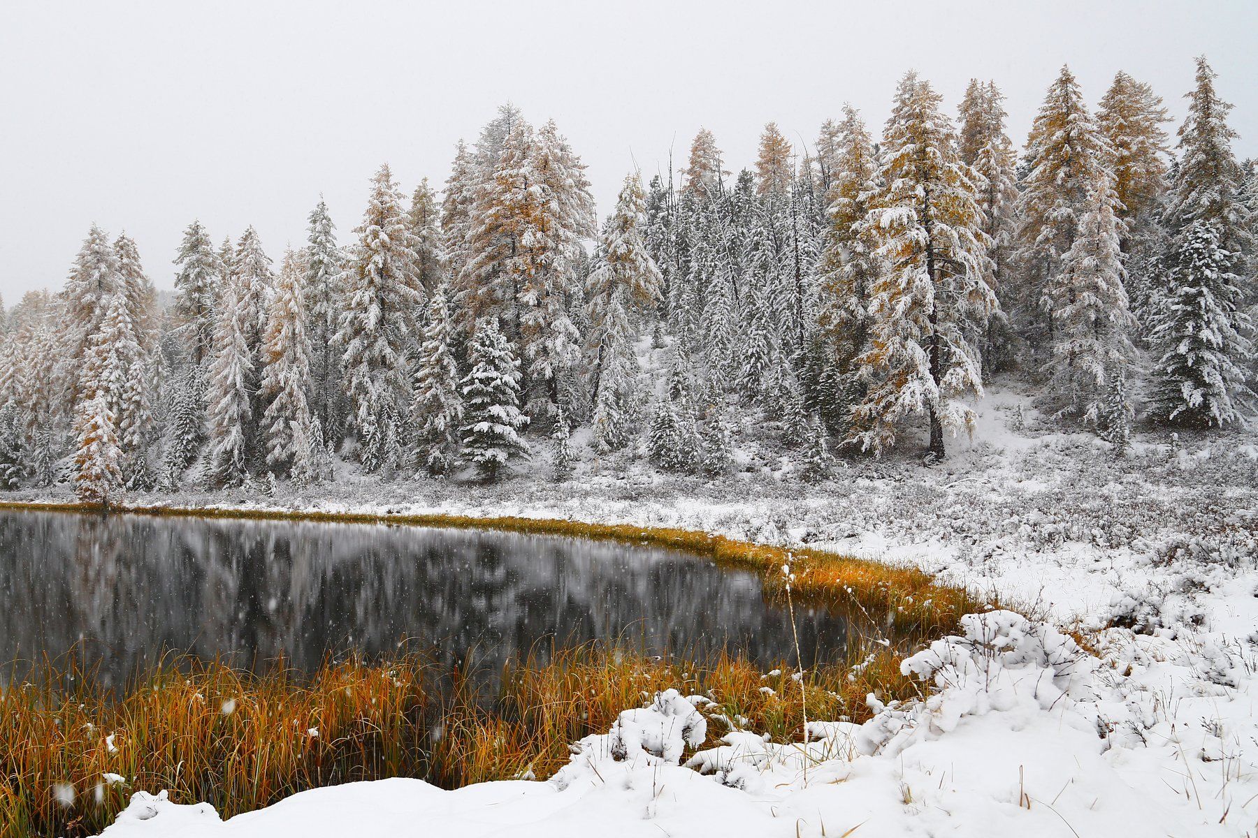 Горный Алтай, озеро, Киделю, осень, зима, белый снег, Константин Маланин
