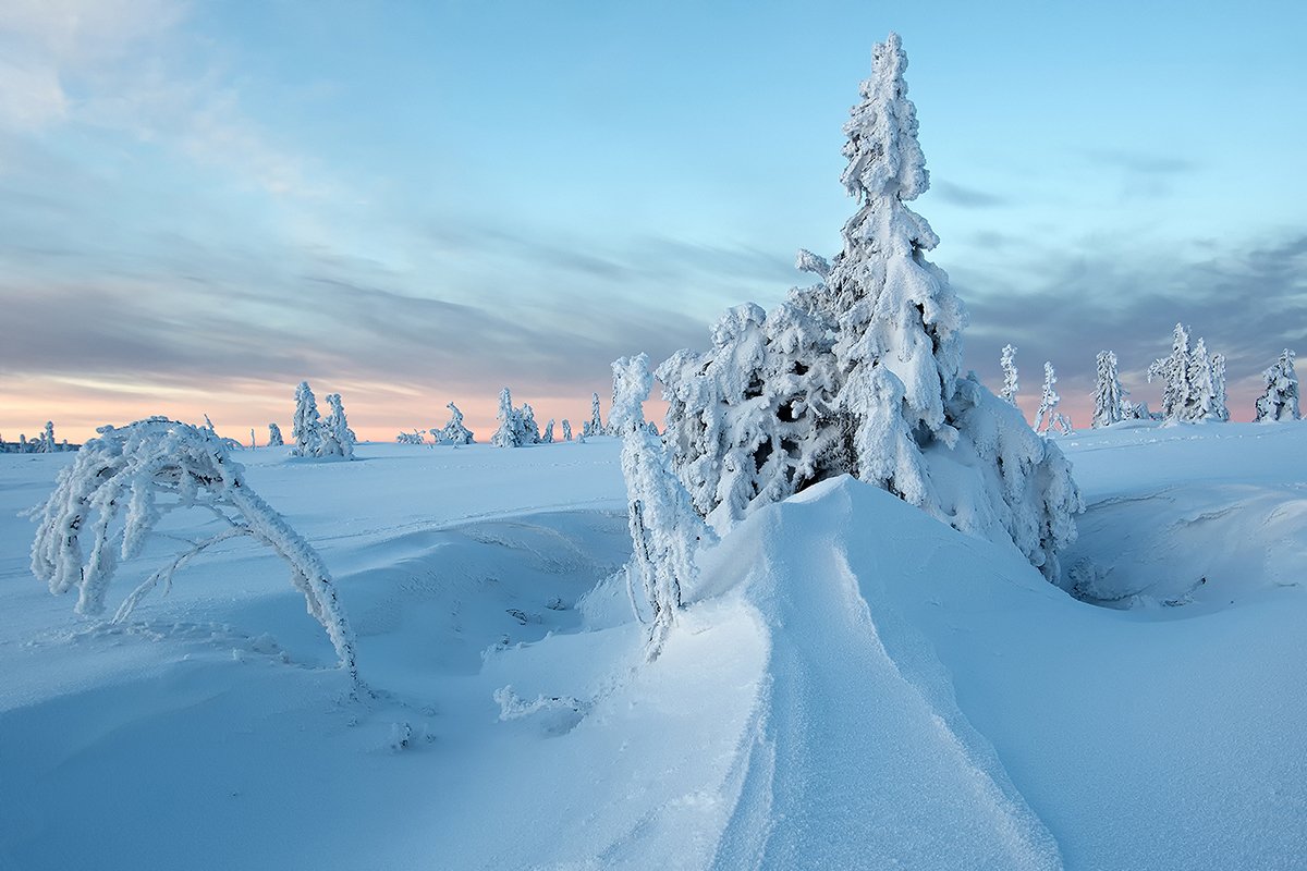 poland,karkonosze., olesniczanin