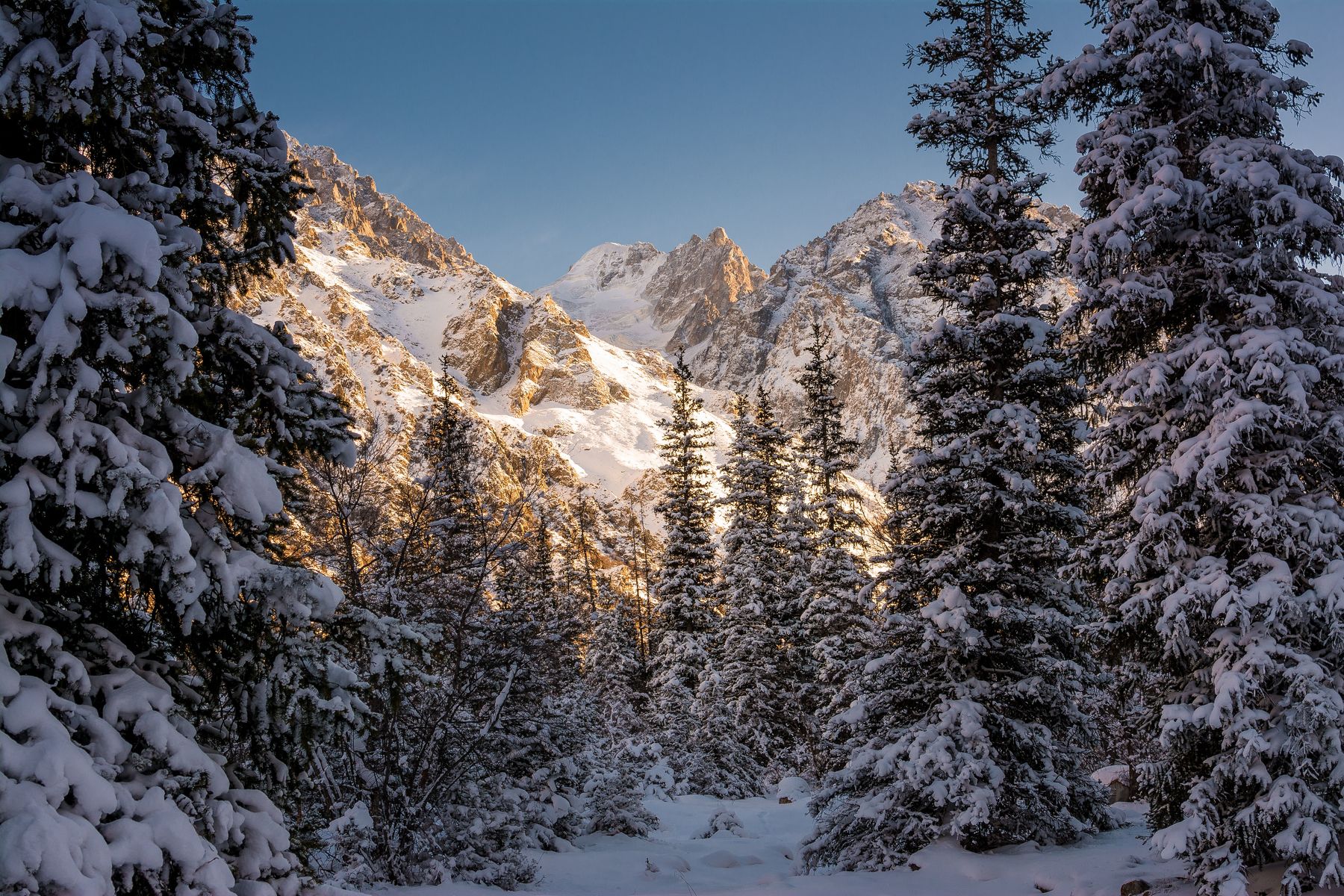 горы, природа, вечер, закат, снег, ели, природа, пейзаж, зима, Василий Шумкин