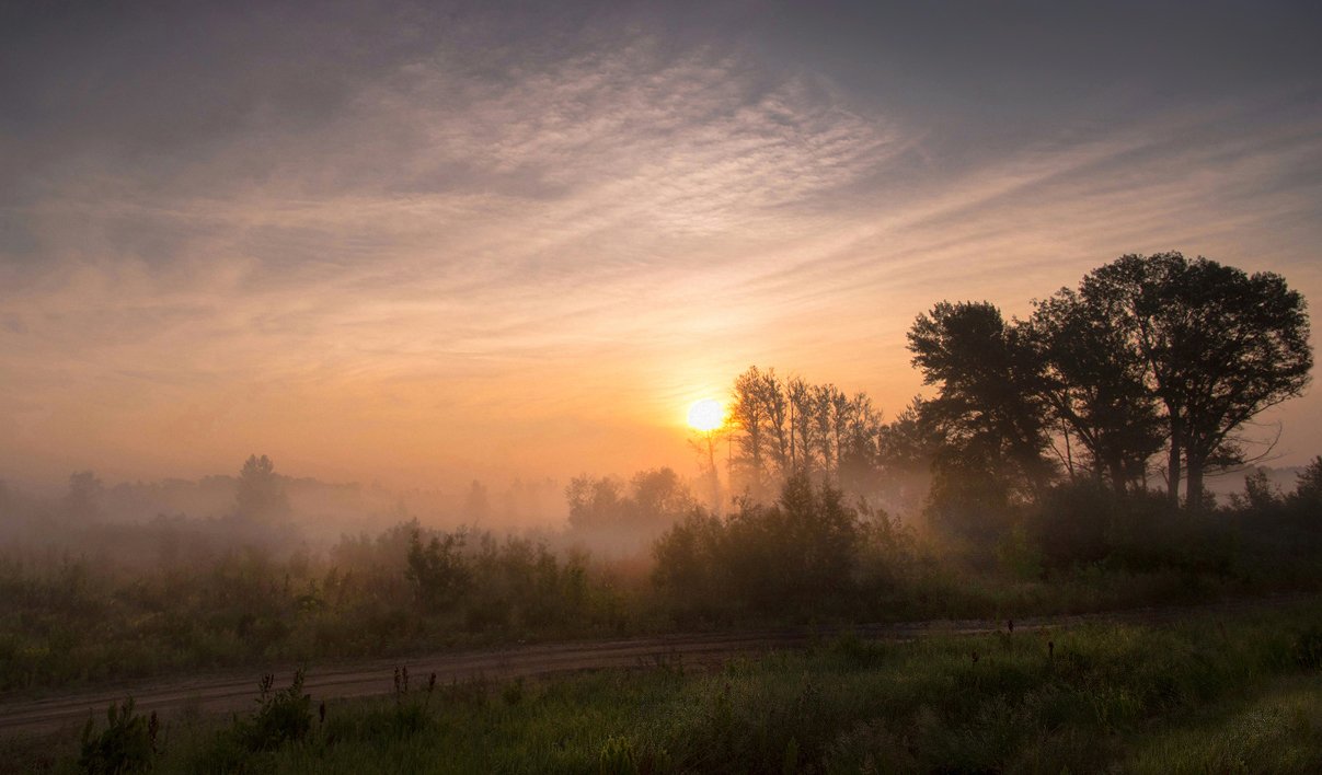 утро, рассвет, туман, солнце, свет, трава, валерий_чичкин, Валерий Чичкин