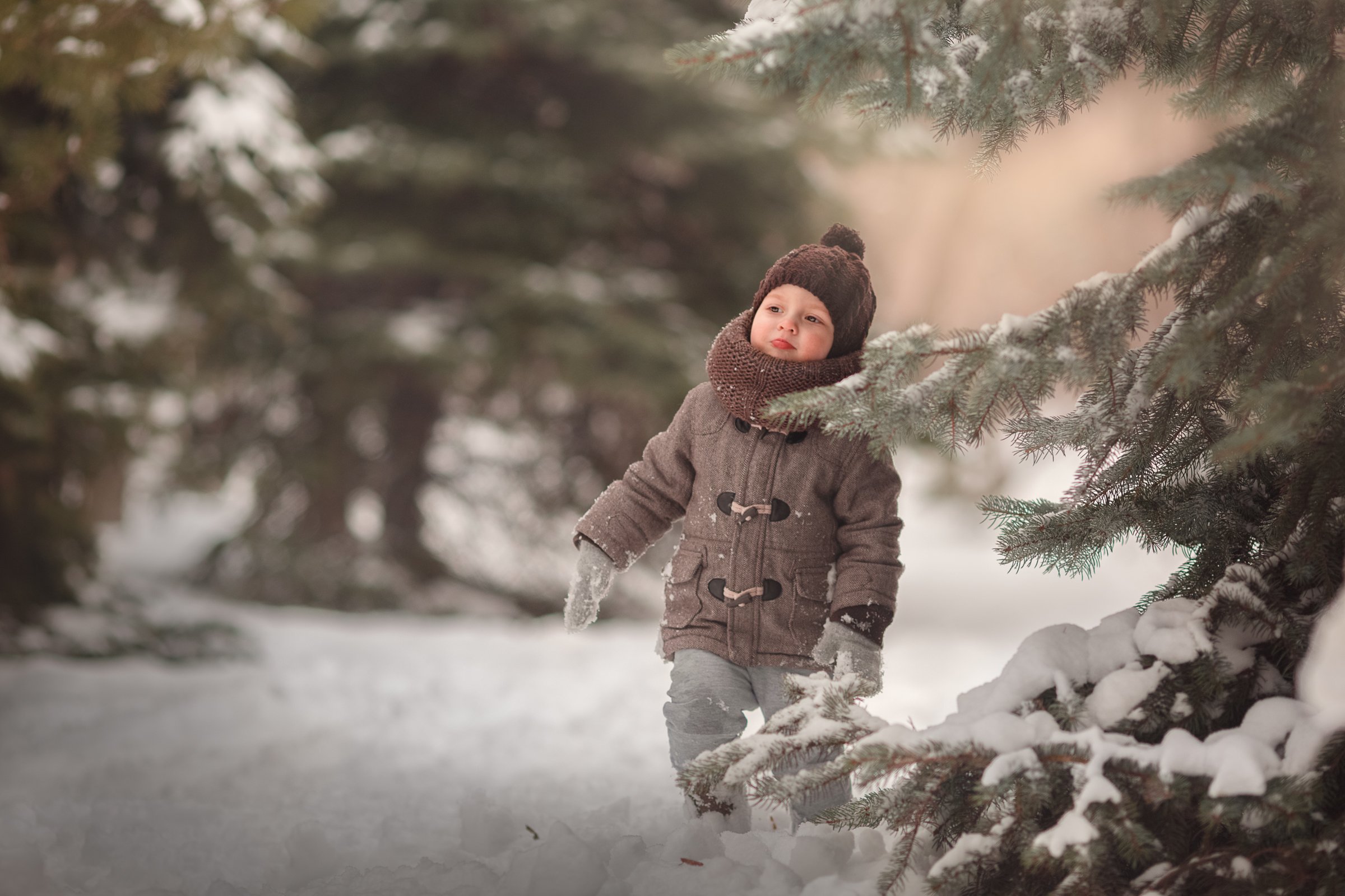 ребенок, дети, елки, лес, зима, снег, Ирина Платонова