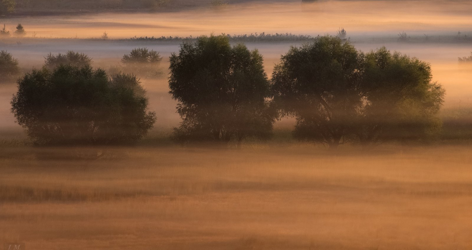 autumn, dawn, fog, light, morning, деревья, долина, осень, рассвет, свет, туман, Утро, trees, Misty, Valley, foggy, Ivan Maljarenko