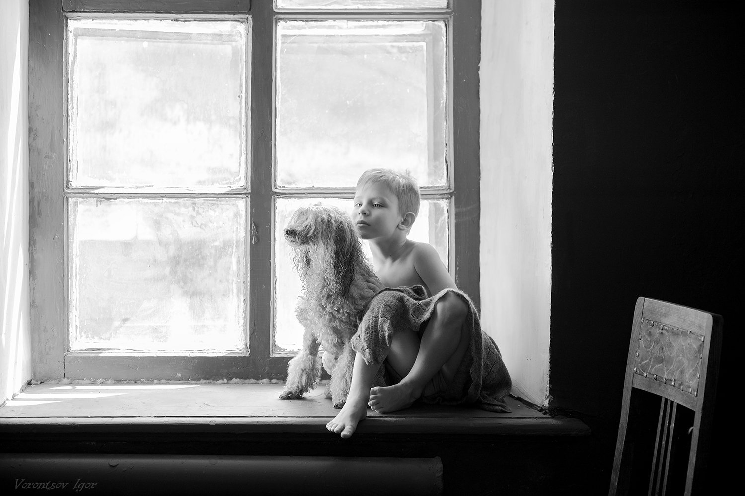 мальчик, окно, собака, Воронцов Игорь
