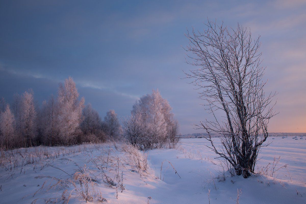 зима закат мороз иней, Дмитрий Алексеев