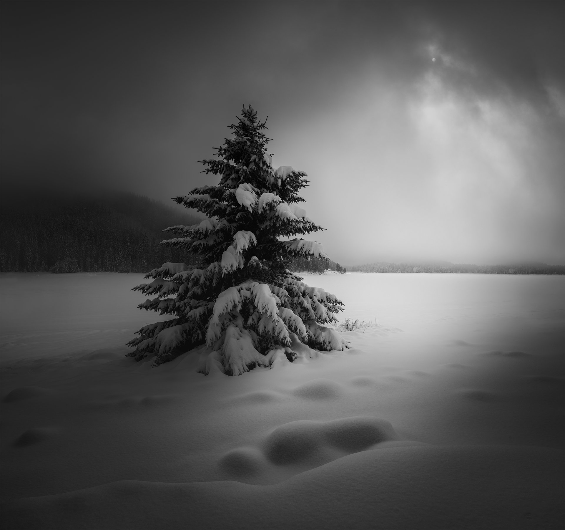 black&white, landscape, пейзаж, winter, Genadi Dochev