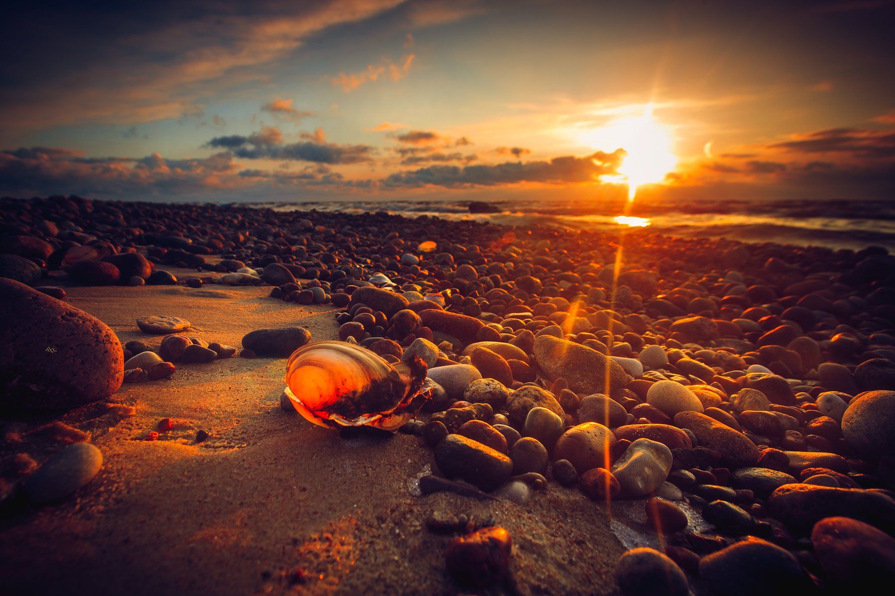 sunset, seashell, colors, baltic sea, seascape, Руслан Болгов (Axe)