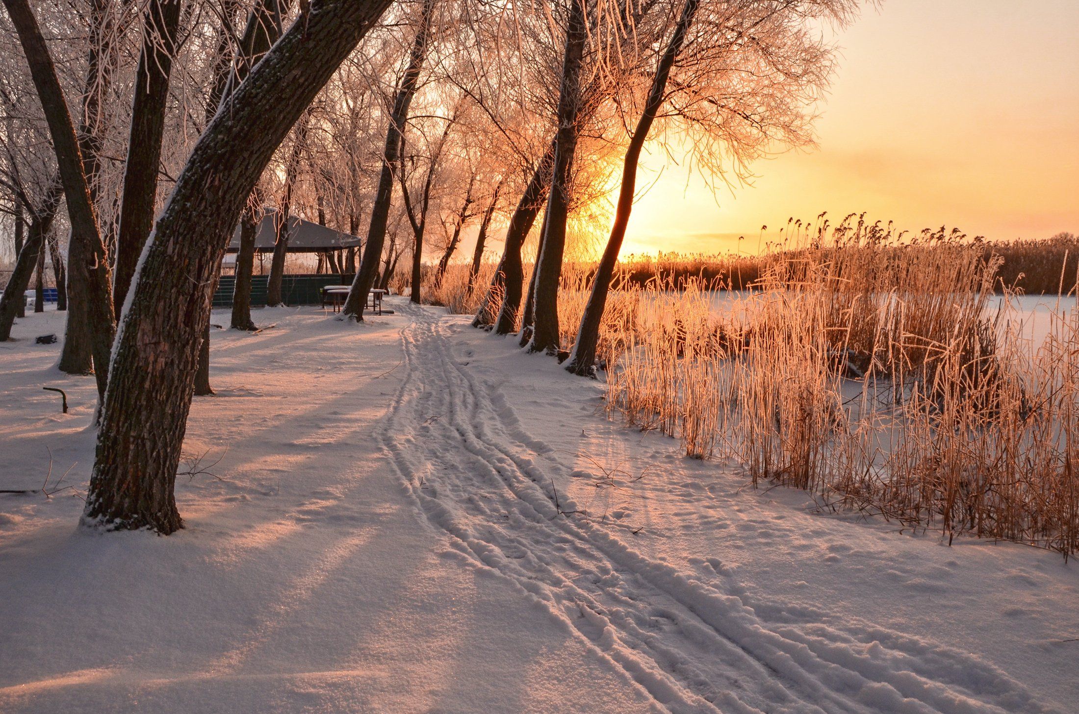 зима, рассвет, река, восход, снег, иней, Валерий Наумов