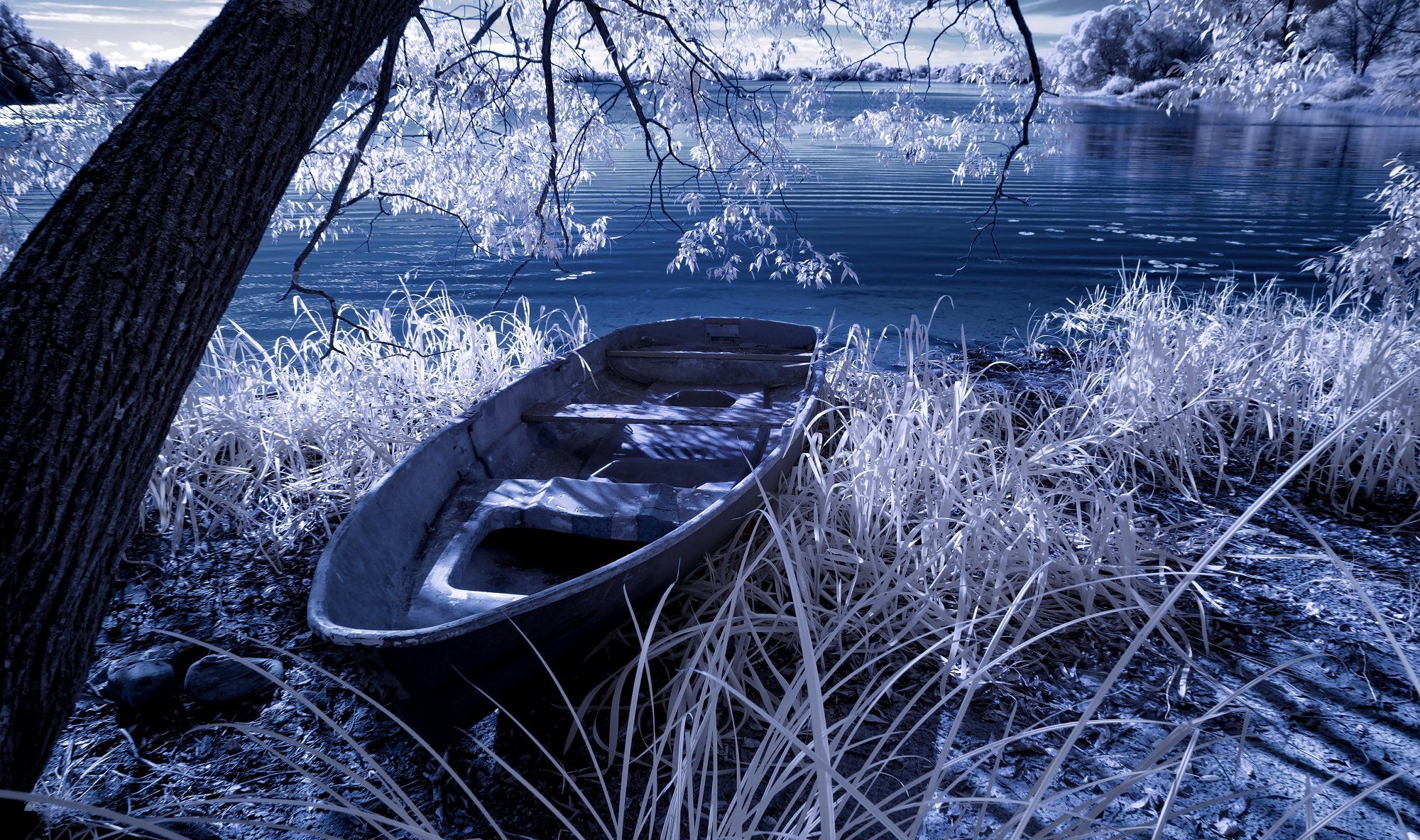 infrared,ик-фото,инфракрасное фото,инфракрасная фотография,пейзаж,природа,беларусь,осень, Sixten ( Сергей )