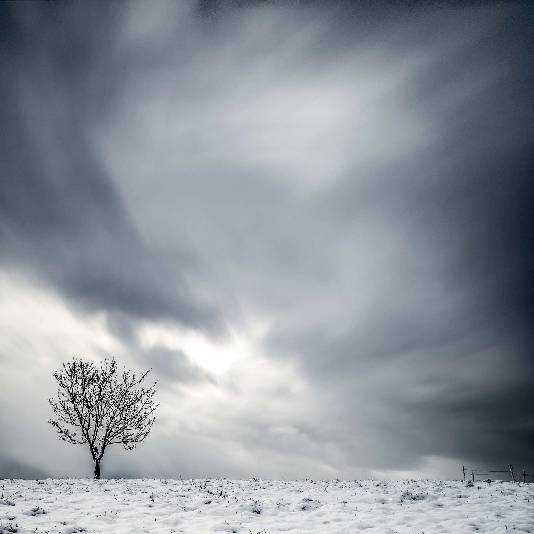 tree,winter,long exposure,minimalismus,sky, Felix Ostapenko
