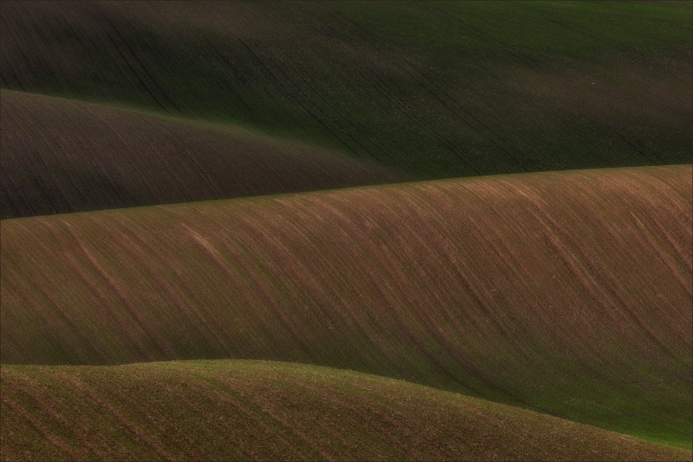 южная моравия,hils,линии,south moravian,волны,lines,свет,czec,hосень,чехия,landscapes,абстракция., Василий Гори