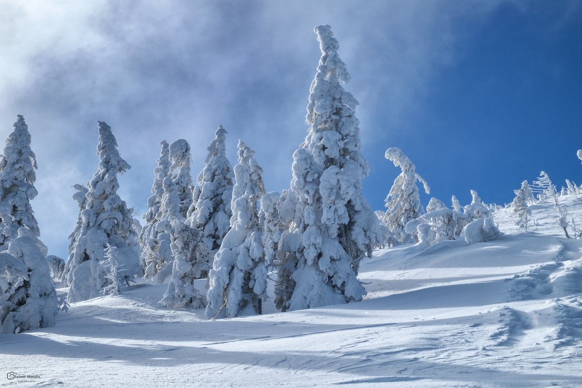 snow., mountain, .glacier.evergreen, .snowfall., ridge, .snowy., slope, .mountain., peak., mountain., range., snowcapped., mt, foraker., Леонид Морозов