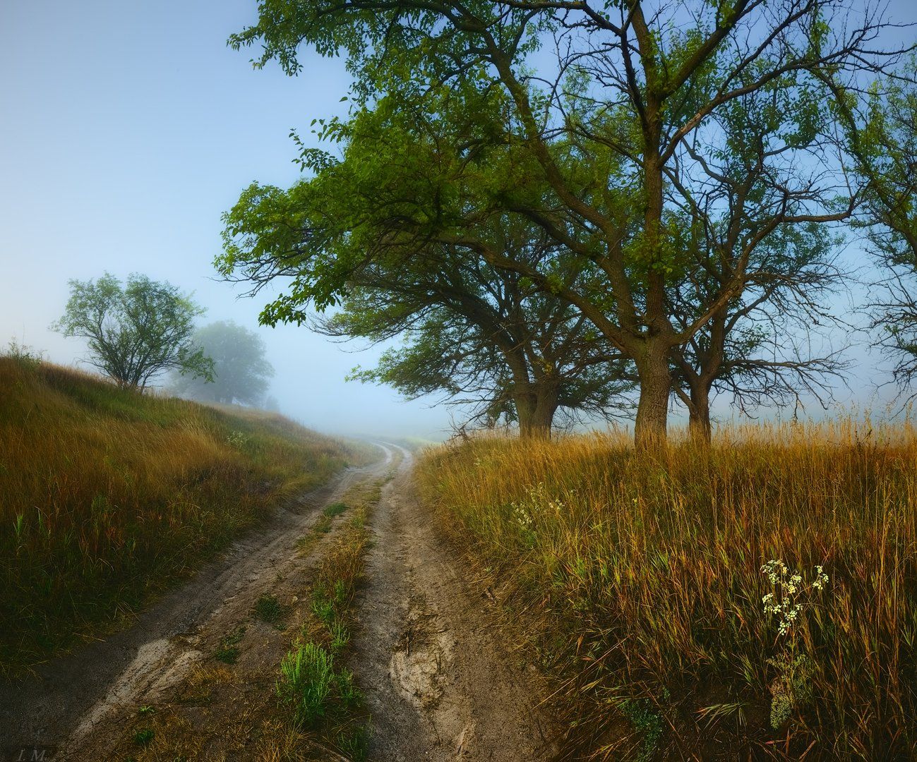 осень, пейзаж, туман, Утро, проселочная дорога, деревья, Misty, colors, foggy, Countryroad, autumn, fog, Landscape, morning, road, Ivan Maljarenko