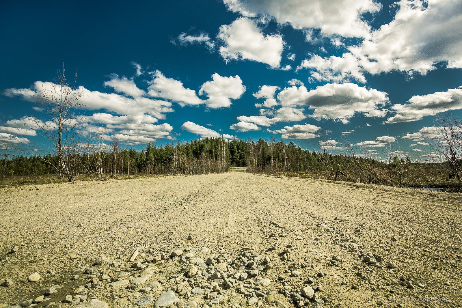 #photobydmitrygorkovets #landscapes #karelia #road, Горковец Дмитрий