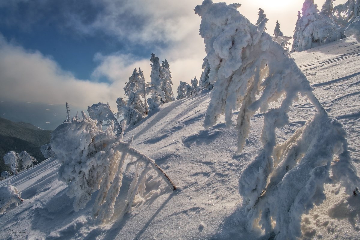 snow., mountain, .glacier.evergreen, .snowfall., ridge, .snowy., slope, .mountain., peak., mountain., range., snowcapped., mt, foraker., Леонид Морозов