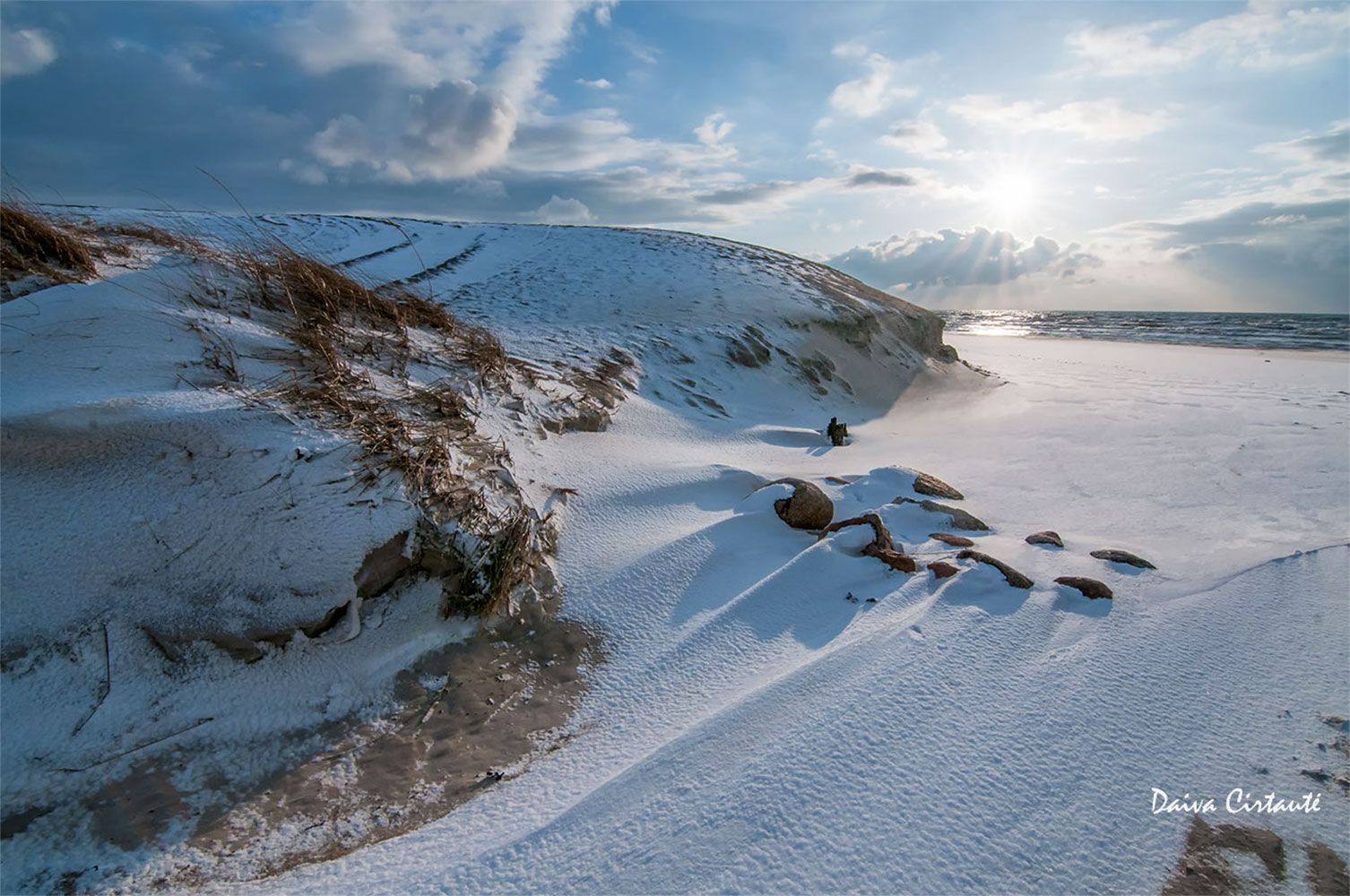 winter,snow,sea,coast,dunes, Daiva Cirtautė